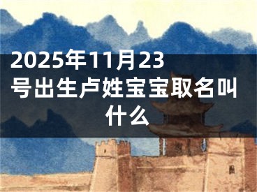2025年11月23号出生卢姓宝宝取名叫什么