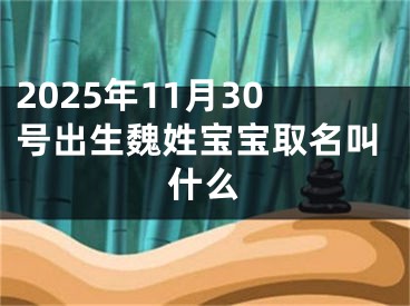 2025年11月30号出生魏姓宝宝取名叫什么
