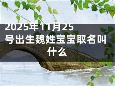 2025年11月25号出生魏姓宝宝取名叫什么