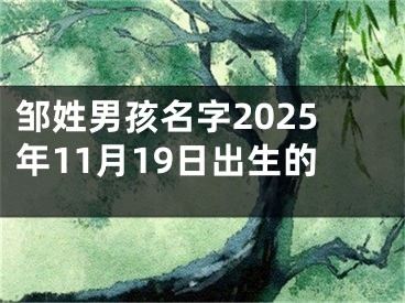 邹姓男孩名字2025年11月19日出生的
