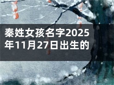 秦姓女孩名字2025年11月27日出生的