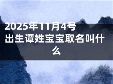 2025年11月4号出生谭姓宝宝取名叫什么