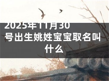 2025年11月30号出生姚姓宝宝取名叫什么