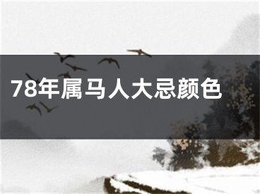 78年属马人大忌颜色