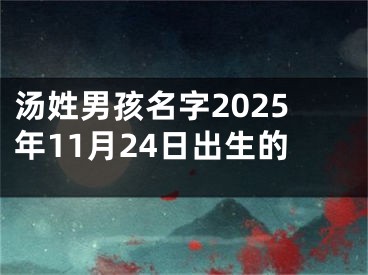 汤姓男孩名字2025年11月24日出生的
