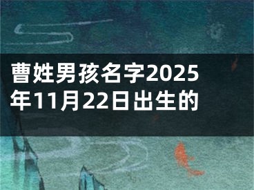 曹姓男孩名字2025年11月22日出生的