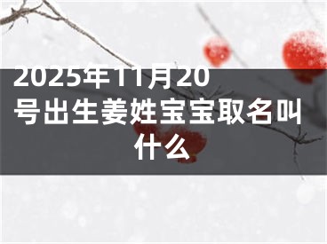 2025年11月20号出生姜姓宝宝取名叫什么