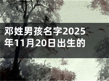 邓姓男孩名字2025年11月20日出生的