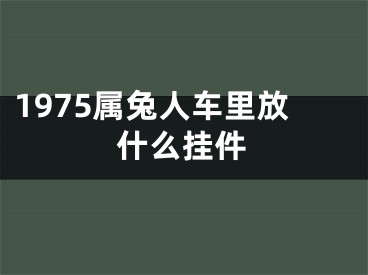 1975属兔人车里放什么挂件