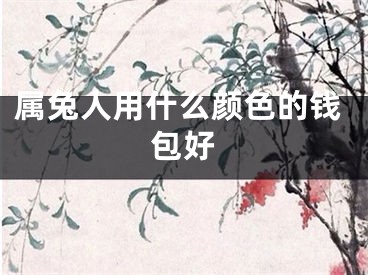 属兔人用什么颜色的钱包好