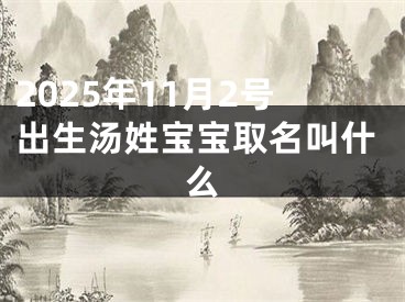 2025年11月2号出生汤姓宝宝取名叫什么