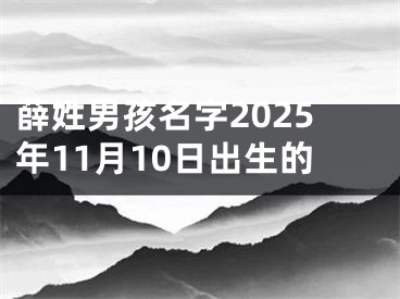 薛姓男孩名字2025年11月10日出生的