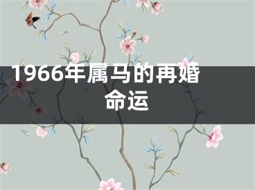 1966年属马的再婚命运