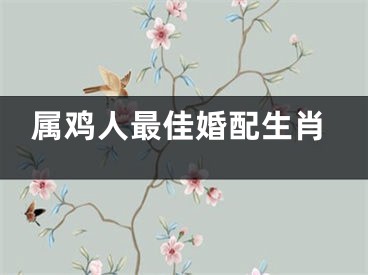 属鸡人最佳婚配生肖