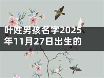 叶姓男孩名字2025年11月27日出生的