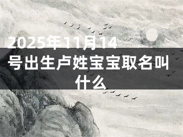 2025年11月14号出生卢姓宝宝取名叫什么