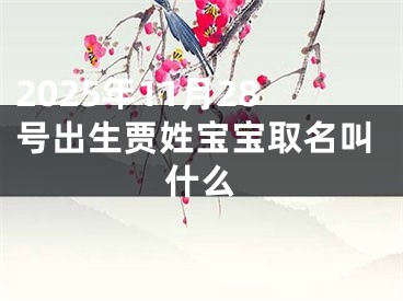 2025年11月28号出生贾姓宝宝取名叫什么
