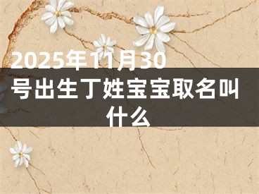 2025年11月30号出生丁姓宝宝取名叫什么
