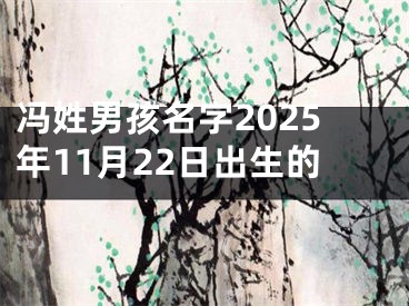 冯姓男孩名字2025年11月22日出生的