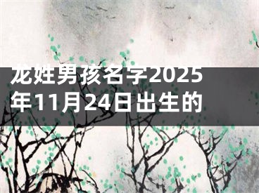 龙姓男孩名字2025年11月24日出生的
