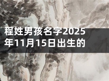 程姓男孩名字2025年11月15日出生的
