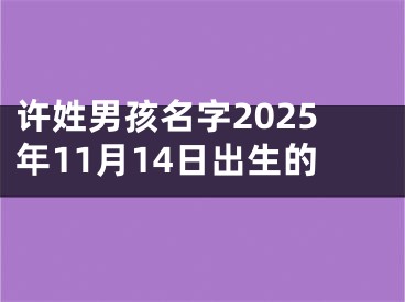 许姓男孩名字2025年11月14日出生的