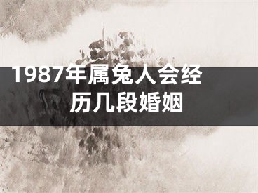 1987年属兔人会经历几段婚姻