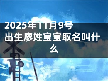 2025年11月9号出生廖姓宝宝取名叫什么
