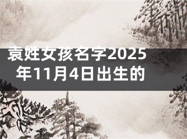 袁姓女孩名字2025年11月4日出生的