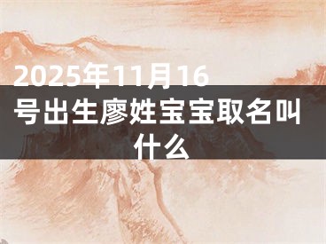 2025年11月16号出生廖姓宝宝取名叫什么