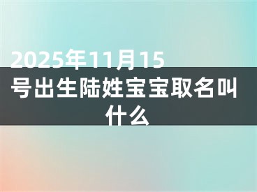 2025年11月15号出生陆姓宝宝取名叫什么