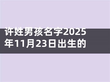 许姓男孩名字2025年11月23日出生的