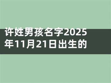 许姓男孩名字2025年11月21日出生的