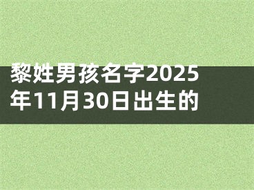 黎姓男孩名字2025年11月30日出生的