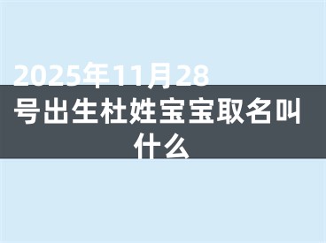 2025年11月28号出生杜姓宝宝取名叫什么