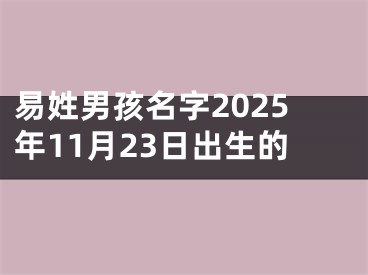 易姓男孩名字2025年11月23日出生的