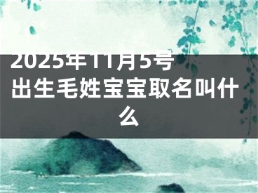 2025年11月5号出生毛姓宝宝取名叫什么