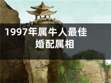 1997年属牛人最佳婚配属相