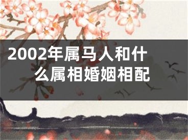 2002年属马人和什么属相婚姻相配