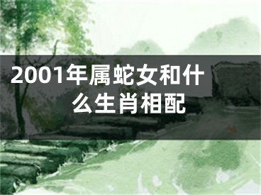 2001年属蛇女和什么生肖相配