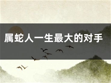 属蛇人一生最大的对手