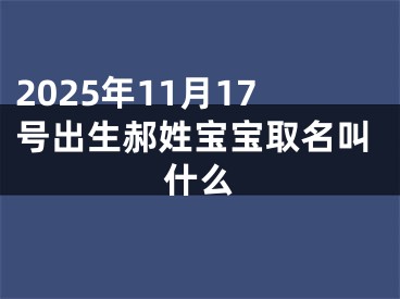 2025年11月17号出生郝姓宝宝取名叫什么