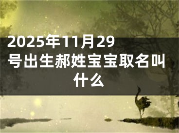 2025年11月29号出生郝姓宝宝取名叫什么