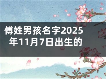 傅姓男孩名字2025年11月7日出生的