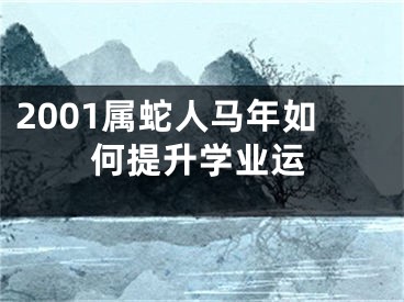 2001属蛇人马年如何提升学业运