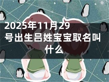 2025年11月29号出生吕姓宝宝取名叫什么