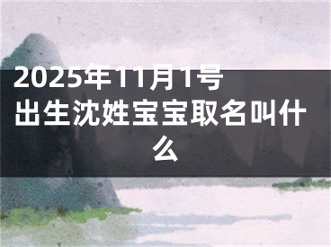 2025年11月1号出生沈姓宝宝取名叫什么