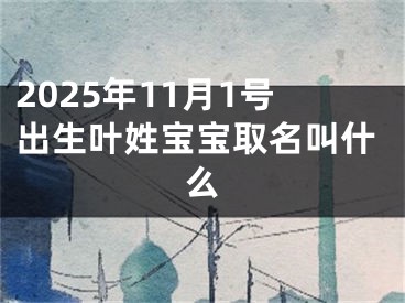 2025年11月1号出生叶姓宝宝取名叫什么