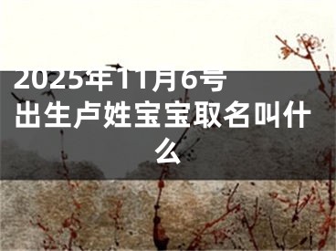 2025年11月6号出生卢姓宝宝取名叫什么