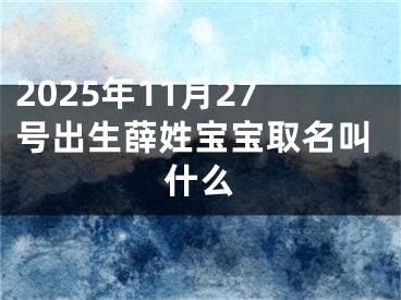 2025年11月27号出生薛姓宝宝取名叫什么
